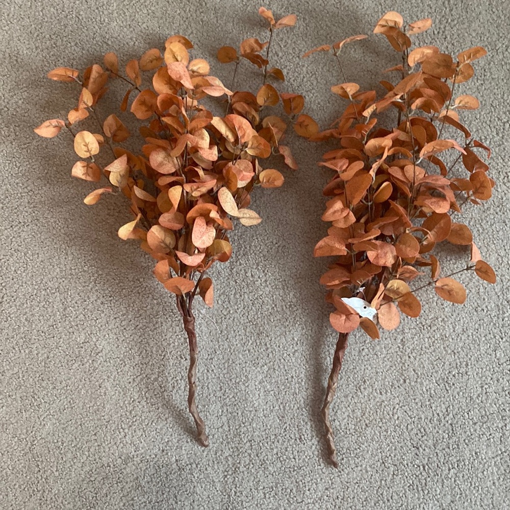Ragoon House Orange Eucalyptus